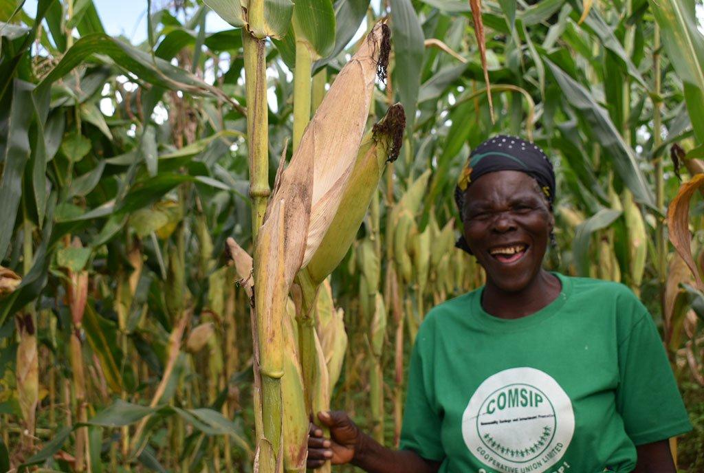 Embracing Gender Equality in Farming Initiatives for Equitable ⁣Development