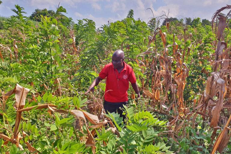 Fostering⁤ Resilience Through Sustainable Practices in Malawis Agriculture