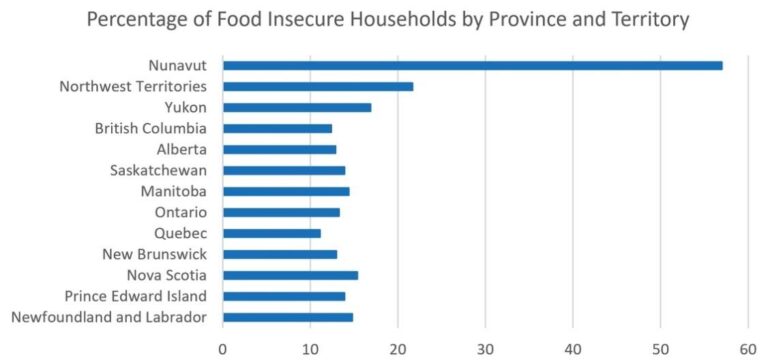 A Light on The Nunavut Healthcare Crisis