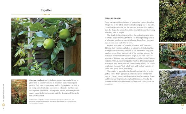 The Regenerative Garden: 80 Practical Projects for Creating a Self-sustaining Garden Ecosystem - Image 3