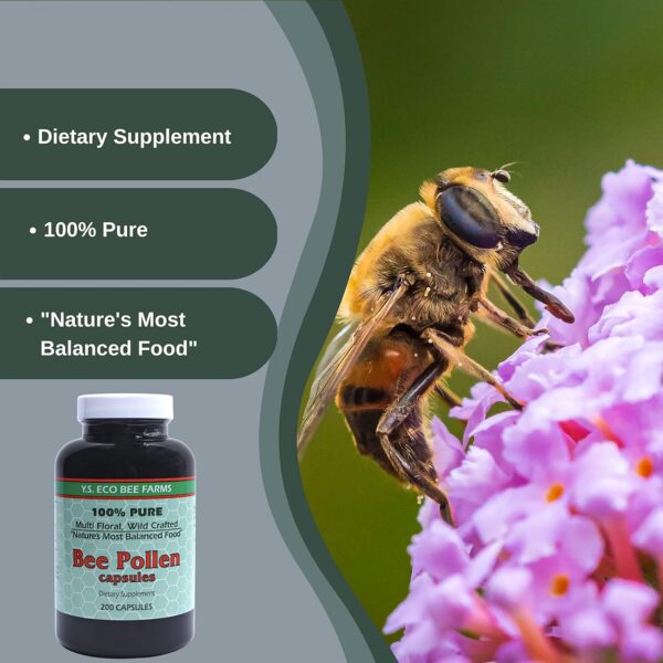 Y.S. Eco Bee Farms 100% Pure, Wild Crafted Bee Pollen Capsules - Organic Bee Pollen Vitamin Supplements Amino Acids, Organic Protein, Vitamin C, Vitamin B12 Gluten Free - 200ct with Bonus Key Chain - Image 4