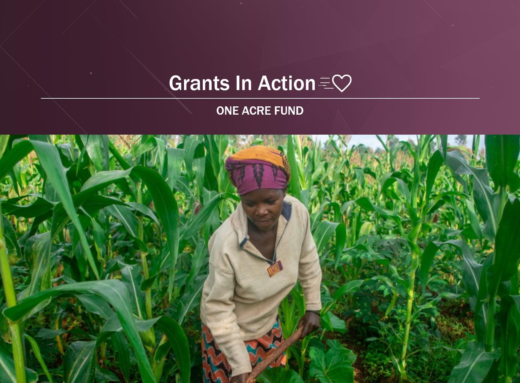 Cultivating Change: The Role of ​One Acre Fund ⁢in‌ Transforming Local‍ Agriculture