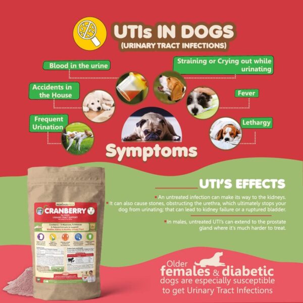 Dog Cranberry Supplement - Natural Dog UTI Treatment & Kidney Support for Dogs. Dog Supplement Powder Same as Cranberry Pills for Dogs. Puppy Supplies for Dog Pee Health - Dog Incontinence Product - Image 5