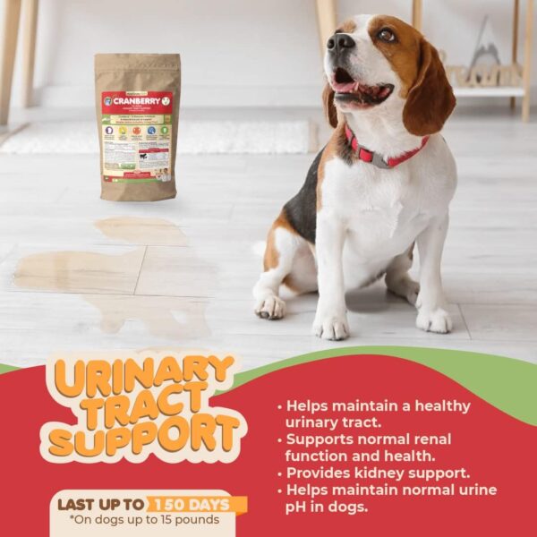 Dog Cranberry Supplement - Natural Dog UTI Treatment & Kidney Support for Dogs. Dog Supplement Powder Same as Cranberry Pills for Dogs. Puppy Supplies for Dog Pee Health - Dog Incontinence Product - Image 3