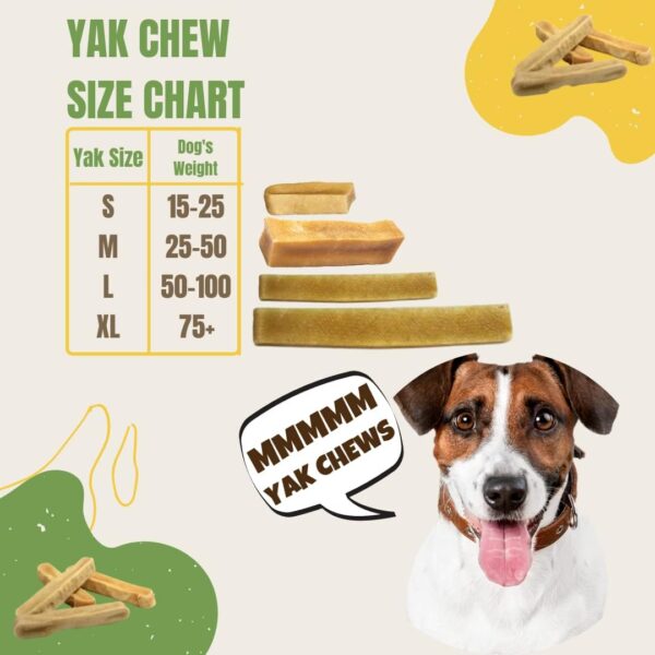 EcoKind Premium Gold Yak Cheese Himalayan Dog Chews, Healthy Dog Treats for Medium Dogs, All Natural, Long Lasting Dog Chew for Aggressive Chewers, High Protein, Rawhide Free Treat, Medium - 3 Chews - Image 3