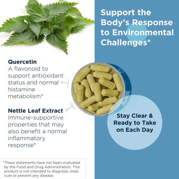 Designs for Health Quercetin + Nettle Supplement - Nettle Leaf + Quercetin Supplements with Flavonoids - Powerful Antioxidants for Immune Support (90 Vegan Capsules) - Image 3