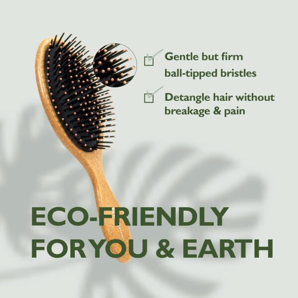 RED Detangling, Hair Brush, Eco-Plant Fiber Detangler Brush for Women and Men, Vented Hairbrush with Ball Tipped Bristles, Detangler for All Type Hair - Image 4