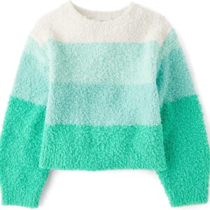 The Children's Place Girls' Long Sleeve Crew Neck Pullover Sweater