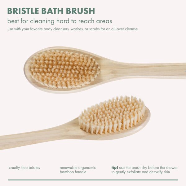 EcoTools Bath Bristle Brush, Bath Brush with Long Handle, Cleanse Back & Hard-to-Reach Areas, Eco Friendly Shower Brush for Exfoliating, Cruelty Free Nylon Bristles, Vegan, 1 Count - Image 3