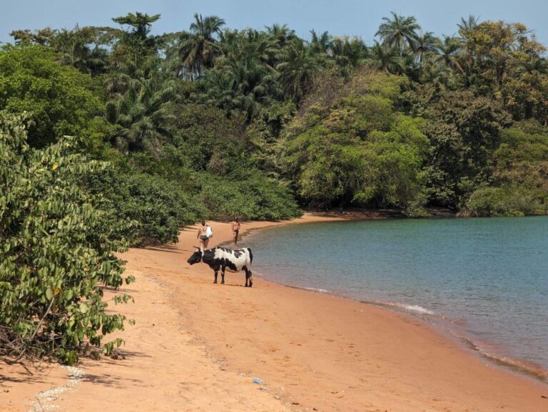 Hunger in Guinea-Bissau