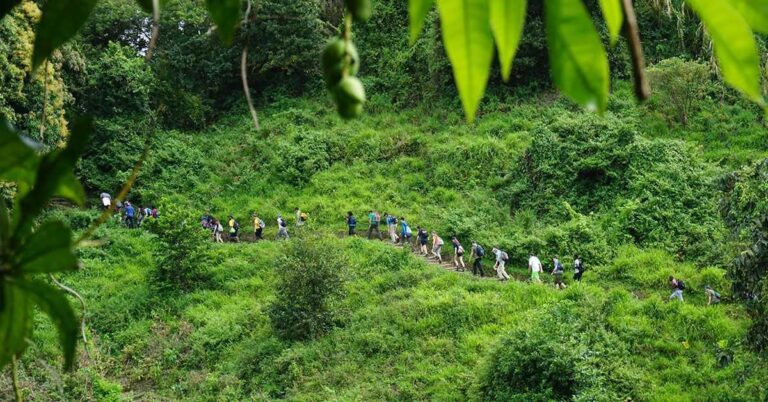 Ecotourism for Reducing Poverty in Indigenous Communities