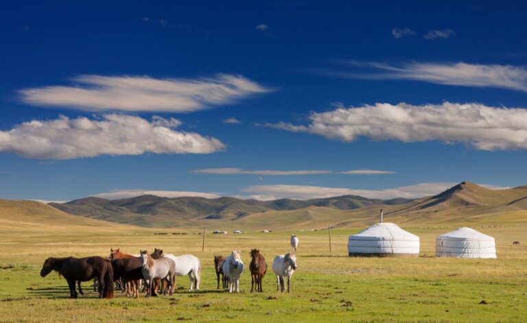 Mongolia Recycling Wastewater to Ease Water Crisis
