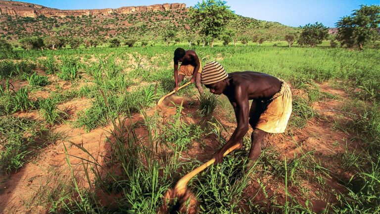 Rural Poverty in Lesotho