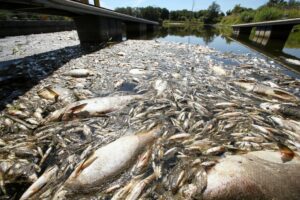 Poisoned rivers: The fight for dignity in northern Ecuador