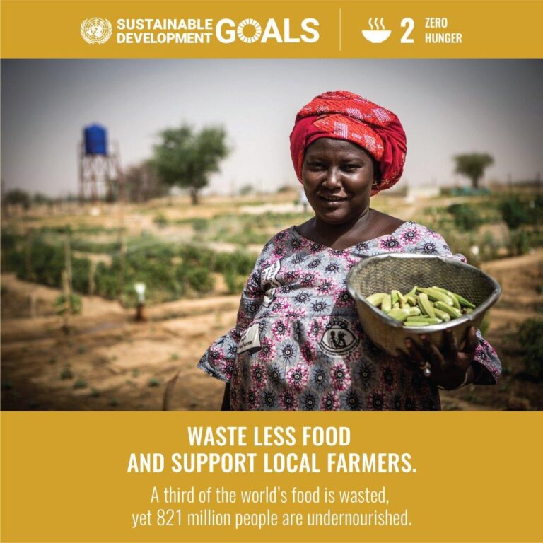 Accelerating SDG 1 in South Korea