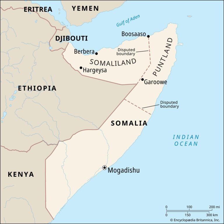 3 Organizations Tackling Food Insecurity in Somalia