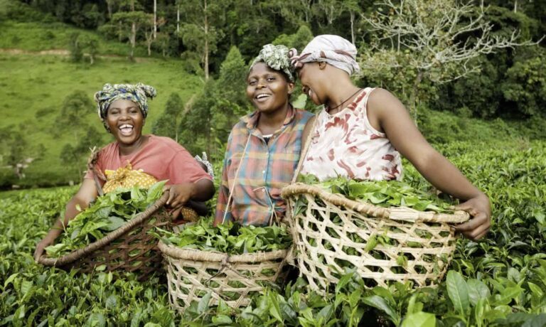 Seeds of change: Women farmers in Yemen grow food, income, and confidence