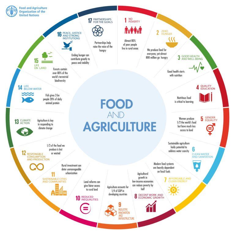 Food Systems in Yemen