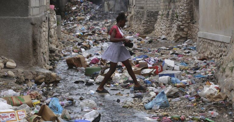 The State of Higher Education in Haiti