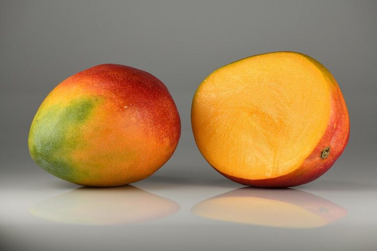 How Growing Mangoes Helps Reduce Poverty