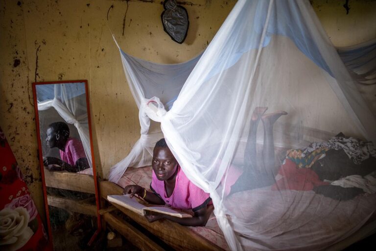 How Dual-Insecticide Nets Strengthen Malaria Control in Africa