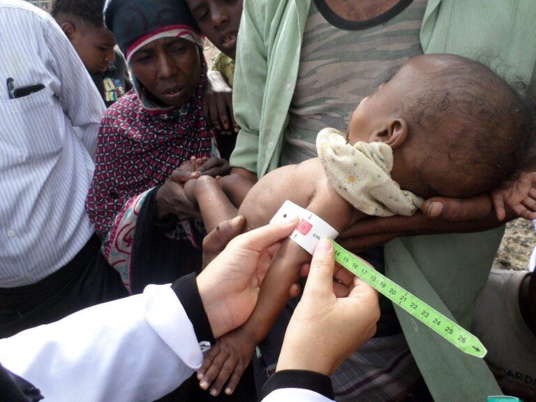 Yemen’s Pervasive Health Care Crisis: Diseases Impacting Yemen