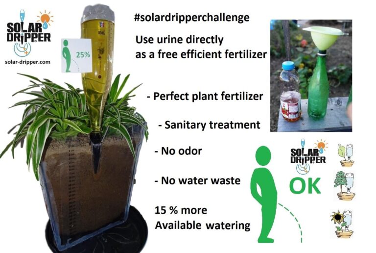 How Urine Fertilizer in Burkina Faso is Boosting Food Security