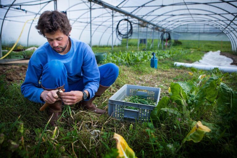 Boosting Yields and Income: Sustainable Farming in Nigeria