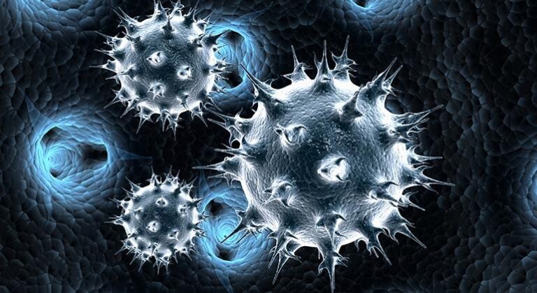 Diseases Impacting Egypt