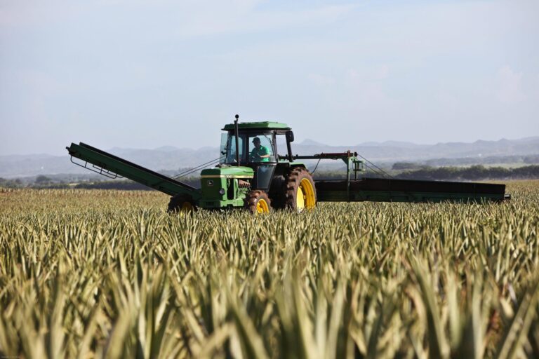 Modernizing Agriculture in Kenya: Technology and Tools