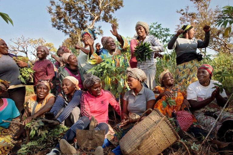 Fighting Climate-Driven Poverty in Mexico