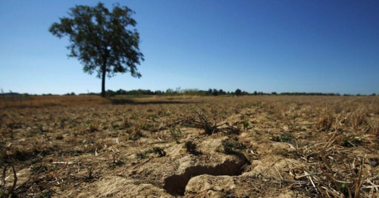Collapsed Food Systems in Sudan: How 80 Cents Can Help