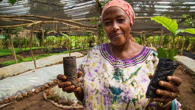 Threats and Solutions To Crop Farming in Uganda
