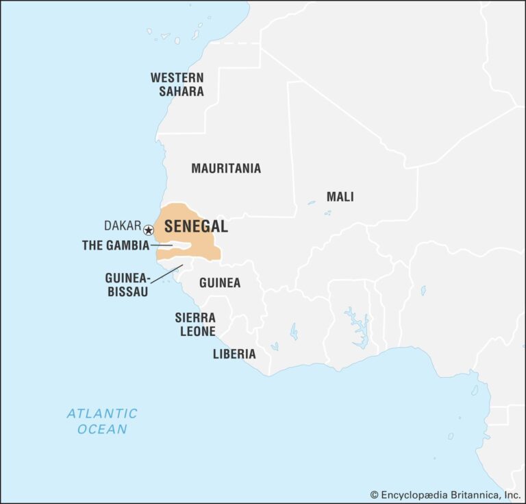 Preserving Tomorrow: Senegal’s Commitment To Fighting Hunger