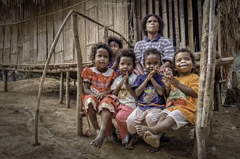 Understanding Poverty Among the Orang Asli in Malaysia