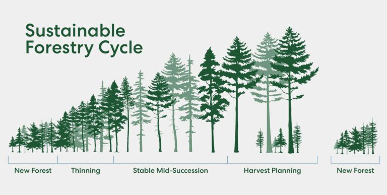 Forest Sustainability and Poverty Reduction