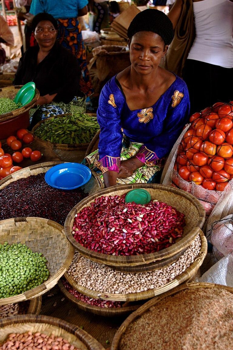 Food Security with Solar Cold Storage in Africa