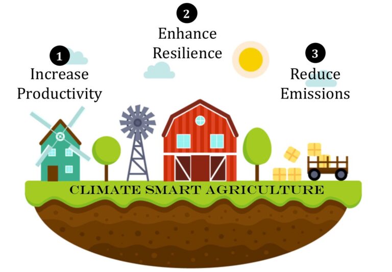Climate-Smart Farming in Bangladesh: A Path Out of Poverty