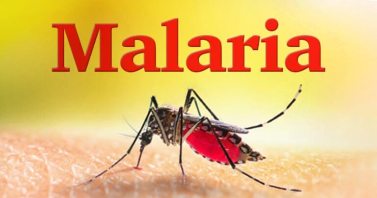 Malaria and Poverty in Africa: Funding Cuts Threaten Millions