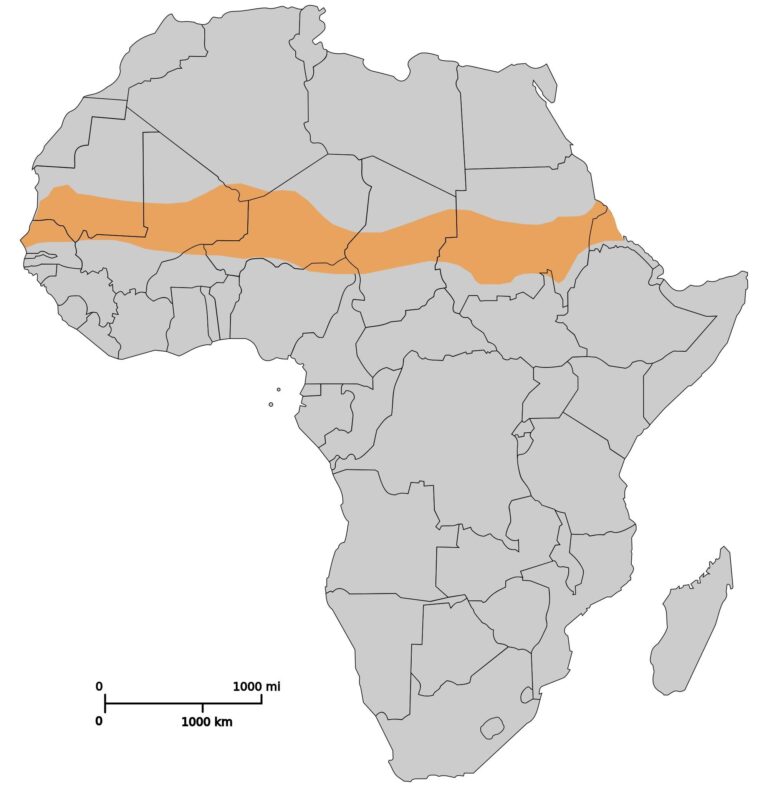 Rebuilding the Sahel
