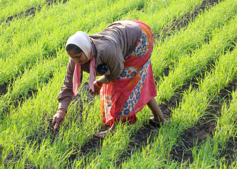 Farming for Peace: SDG 2 in Colombia