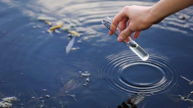 Improvements in Water Quality in Egypt Improvements in Water Quality in Egypt